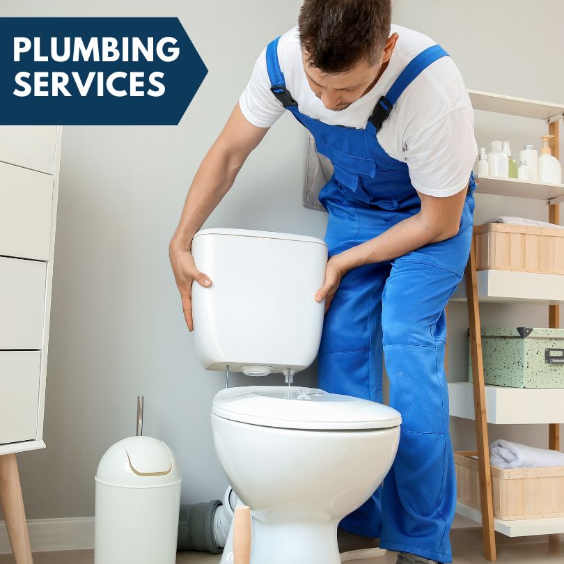 Plumbing Company in Lewis, IA